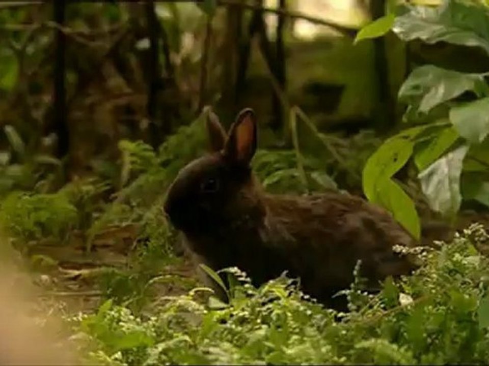 The Tribe Staffel 1 folge 14