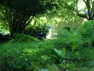 Chambre d'hôte forêt Pouic