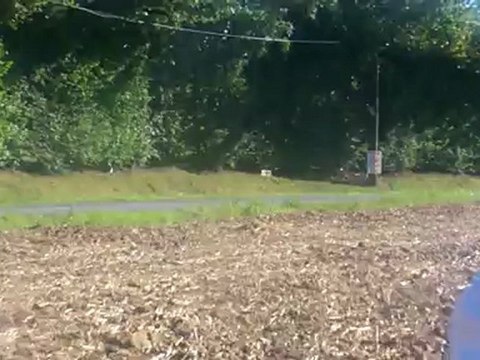 RALLYE DU PAYS D'AUGE 2012 ES3 BONNEBOSQ