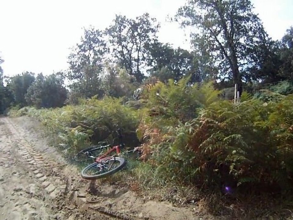 Sortie Ronce Les Bains 16.08.12