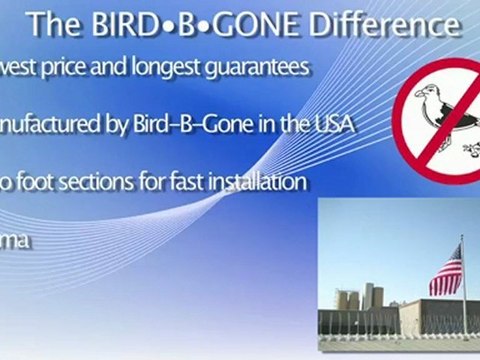 Introduction to Bird Spikes