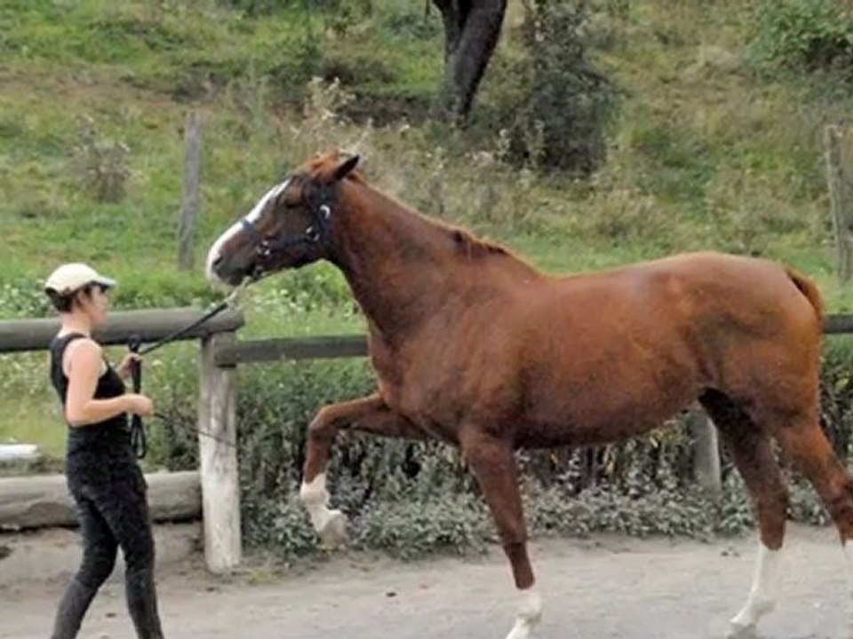 Pin Up, nos débuts au pas espagnol