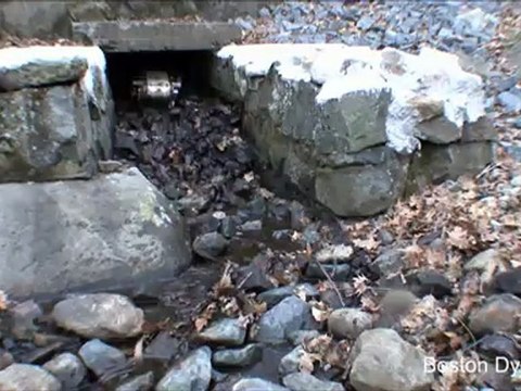 RHex Rough-Terrain Robot