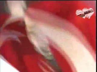 Türk yıldızları 2012 İzmir