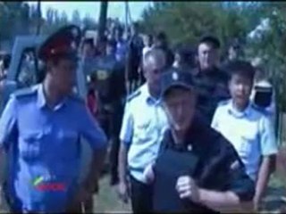 ВТО и уничтожение свиней