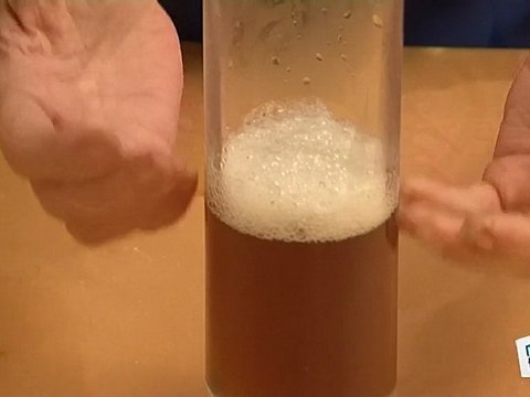 Comment faire un shampoing maison ?