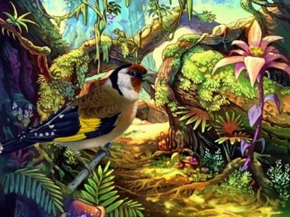 Sword of mana 7/ Sauver les pigeons