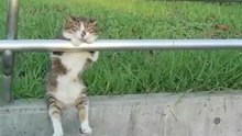 Я, пожалуй, тут посижу