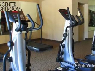 Paradise Vista Apartments in Glendale, AZ - ForRent.com