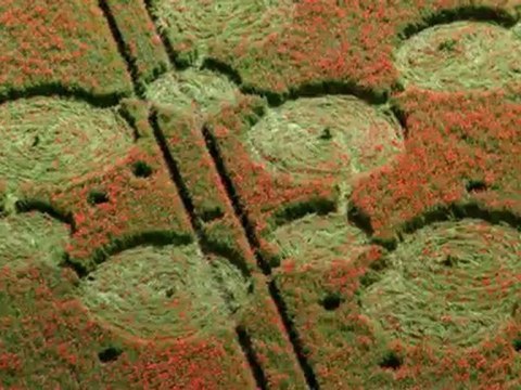 Crop circles .Wiltshire and Hampshire .29 .07.2012