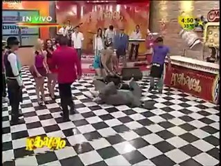 El Delfín ataca a Chicken