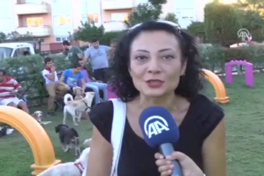 Bu park sadece köpeklere ait
