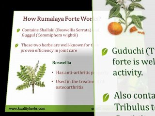 Buy Cheapest Rumalaya Forte form Himalaya - Joint Care Remedy for Arthritis at KwalityHerbs Store