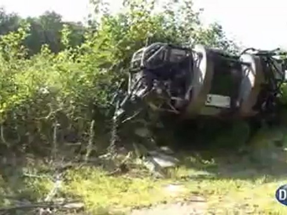 Le Pentagone invente ce robot nommé LS3