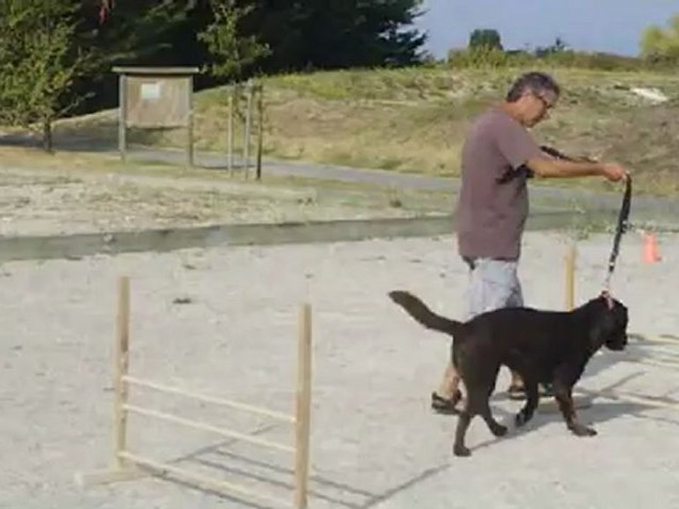Saut obstacle