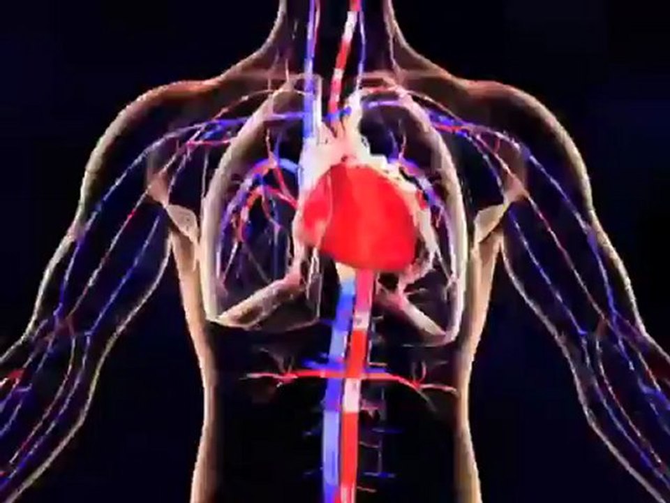 Percutaneous Transluminal Coronary Angioplasty (Understanding Disease_ Cardiovascular Medicine)