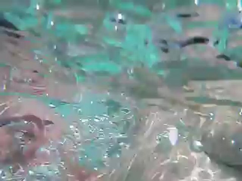 Piscine Valaurie 2