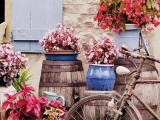 Ahmet Özhan...Gül bahçeleri.