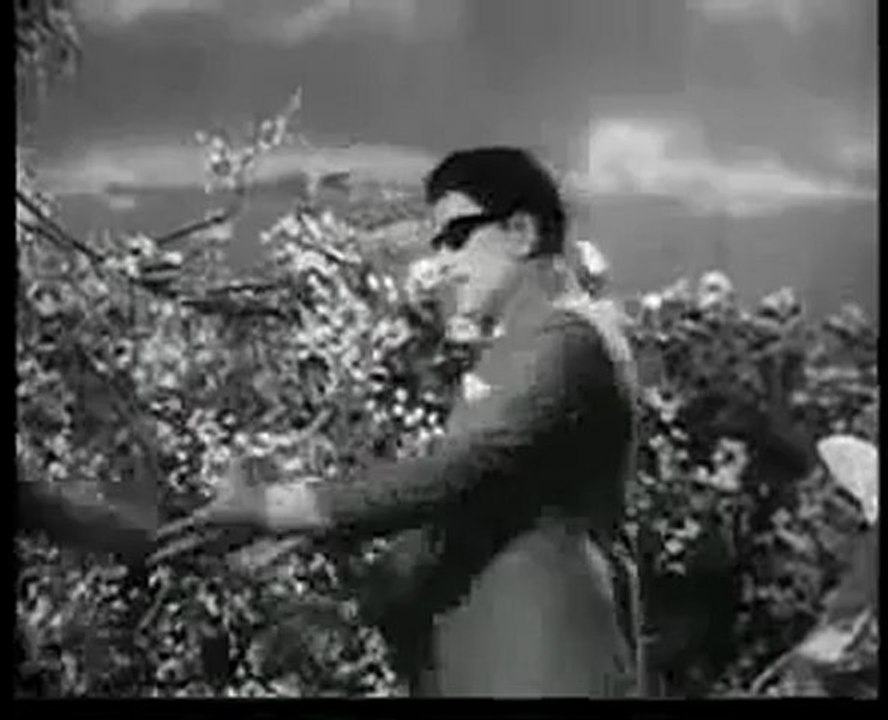 1144.mp4