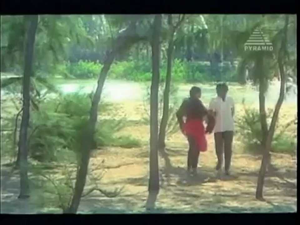 1174.mp4