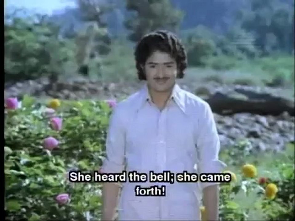 1184.mp4