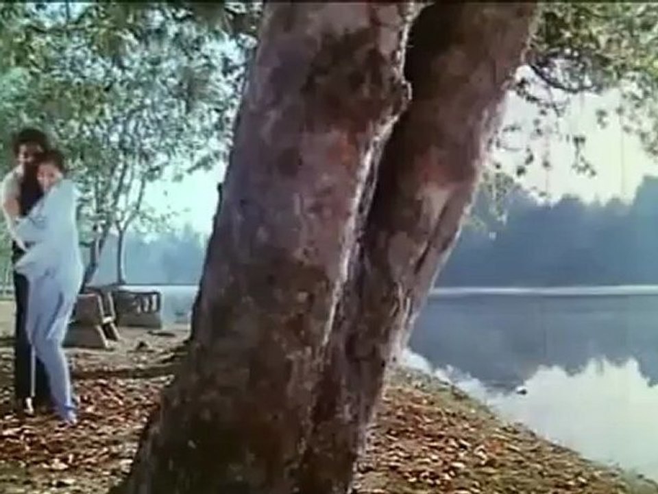 1196.mp4