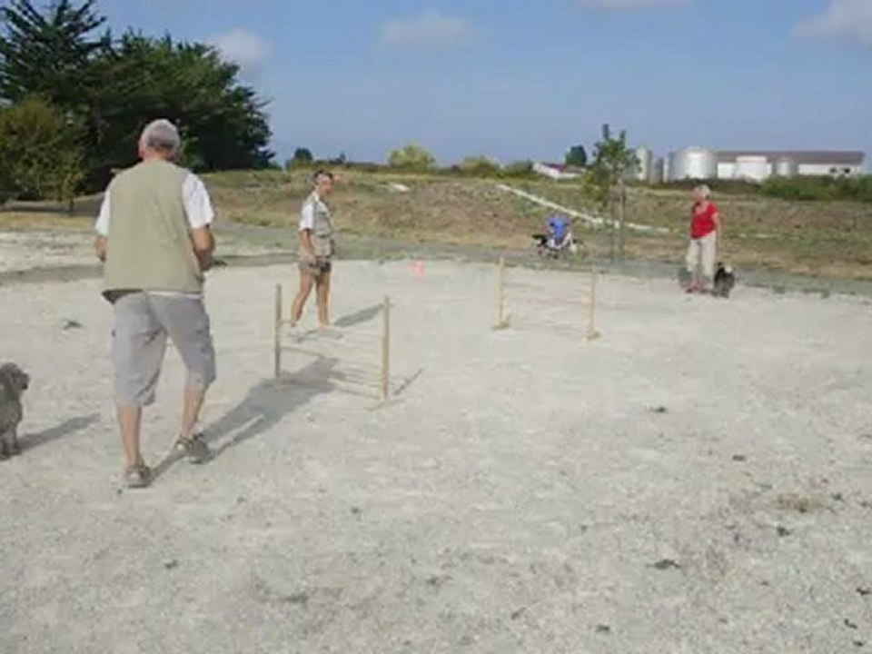 falcon blagueur