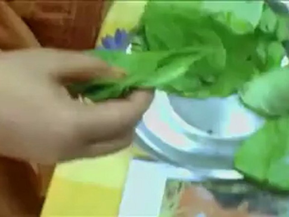 1333.mp4