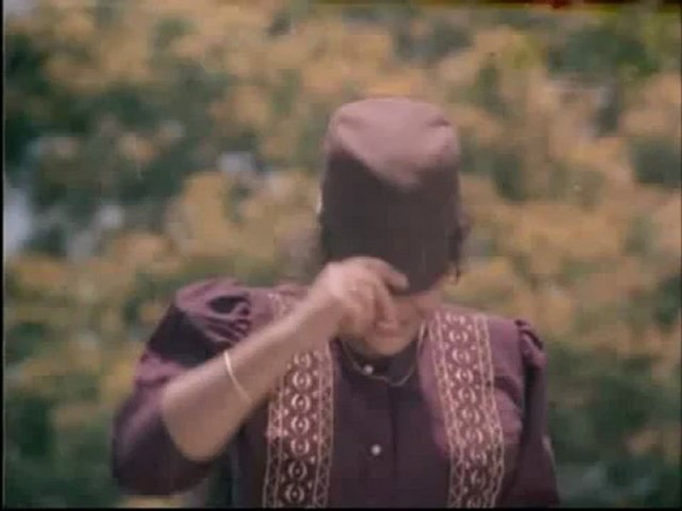 1377.mp4