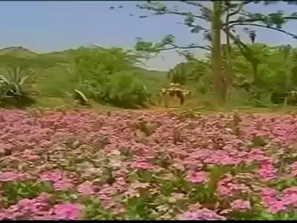 1394.mp4