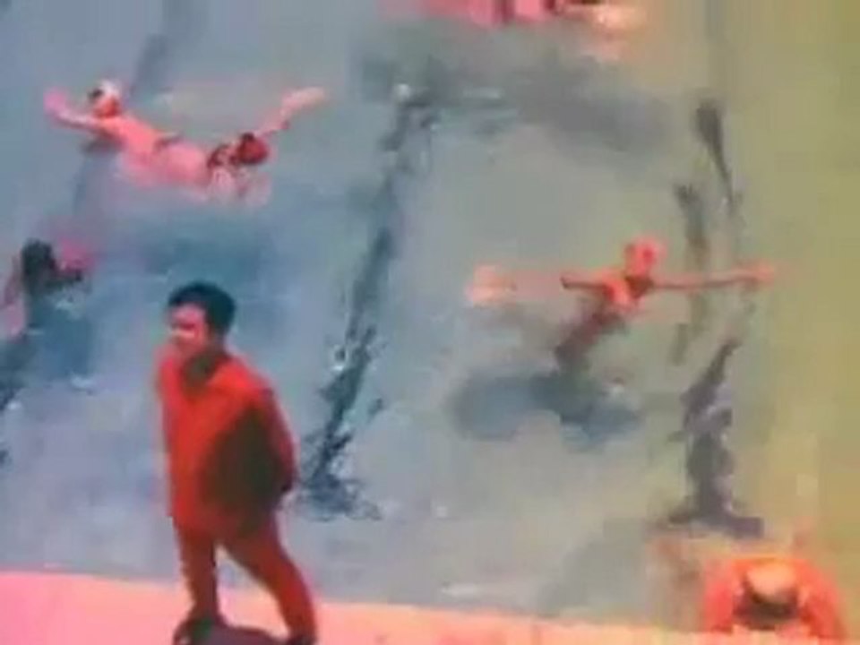 1433.mp4