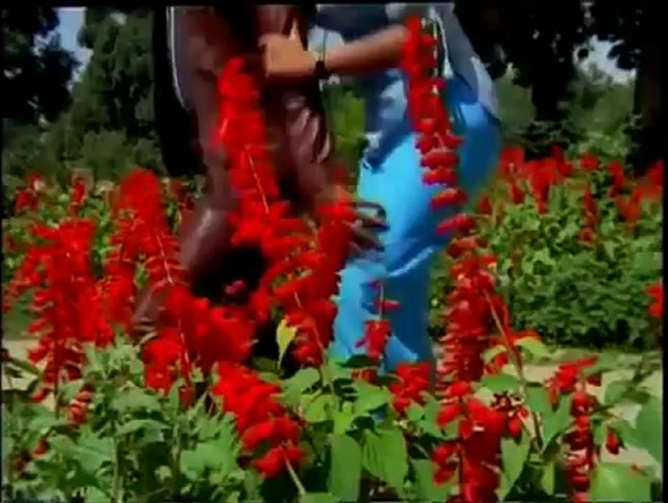 1446.mp4
