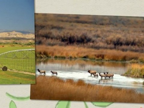 ranches for sale in colorado