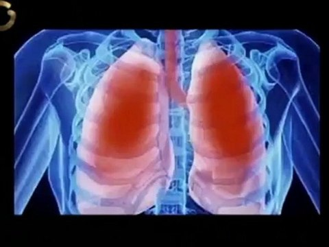 Saber Vivir: ¿Cómo una gripe se transforma en neumonía?