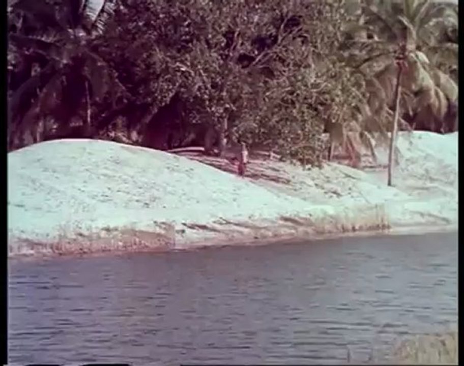 1524.mp4