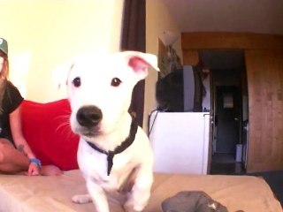 Short & dirty (les Arcs) été 2012