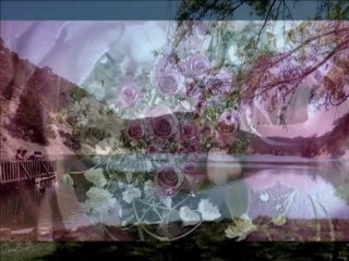 HASRETİNLE YANDI GÖNLÜM...