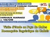 Forum des langues Carhaix Pays de Galles