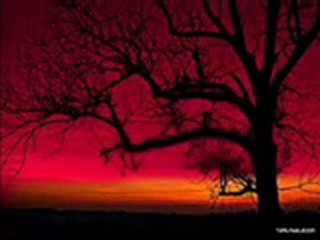 el hadj....3mer...boudjem3a....!!  "ezzahi milano"