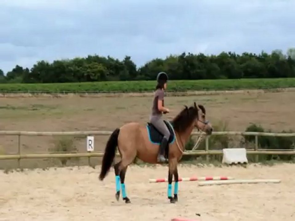 Démo au poney club le Manège Enchanté