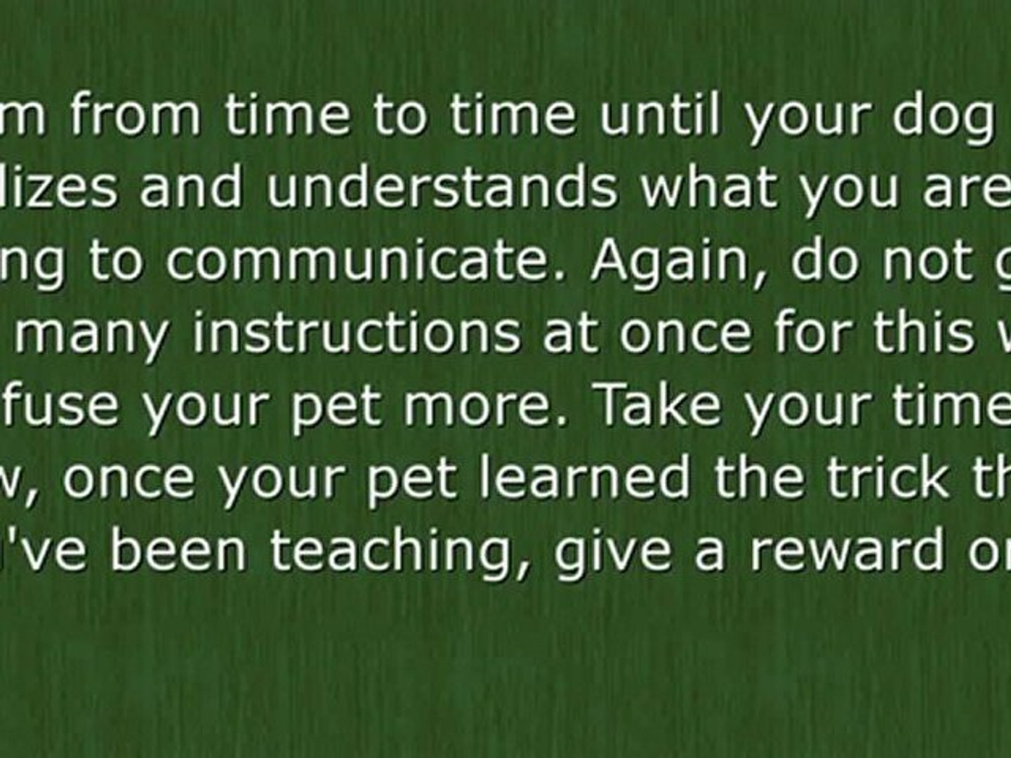 ⁣my dog training  & tricks
