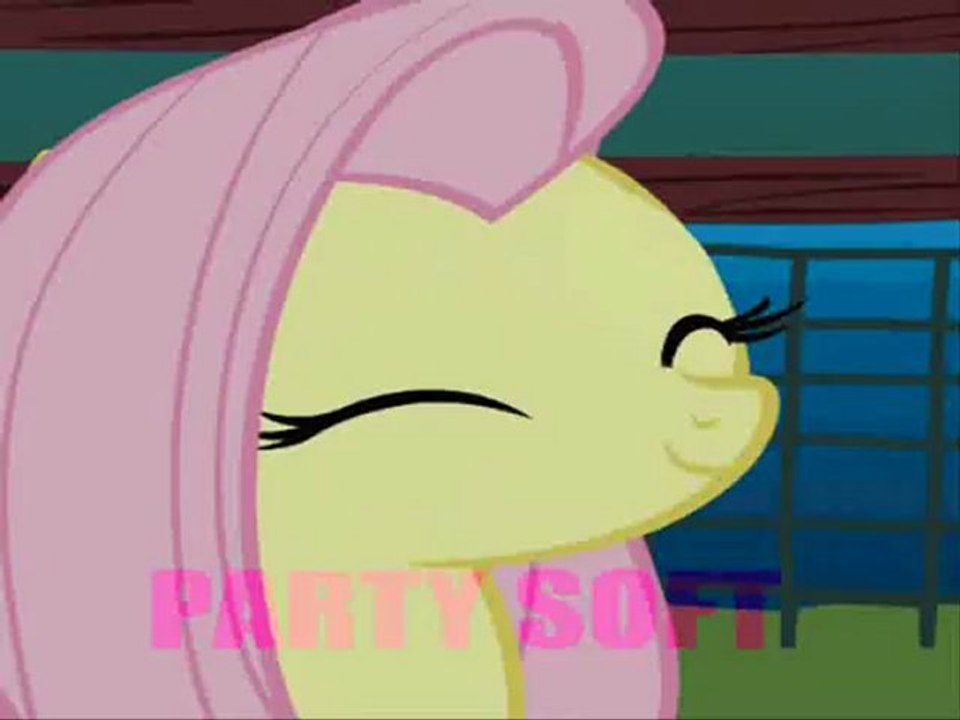 Life is like a pony