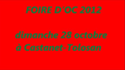 FOIRE D'OC 2012  Les basques débarquent à Castanet Tolosan