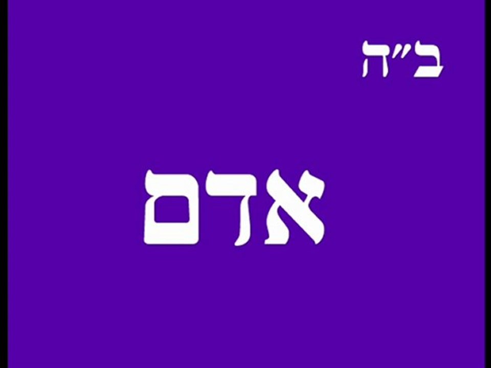 אדם