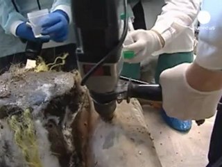 Mammoth find raises questions of cloning