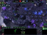 2012 GSL S4 CodeS RO32 MVP_Sniper[Z] VS coL_Heart[T] Set1