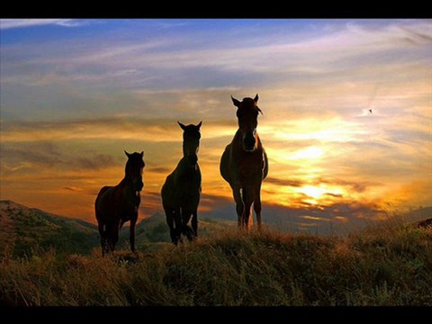 ALİ KINIK 2012 - BANA ŞARKILAR SÖYLE