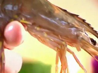 51 How to prepare fresh prawns
