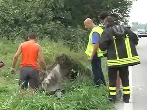 schianto sul palo muore anziano