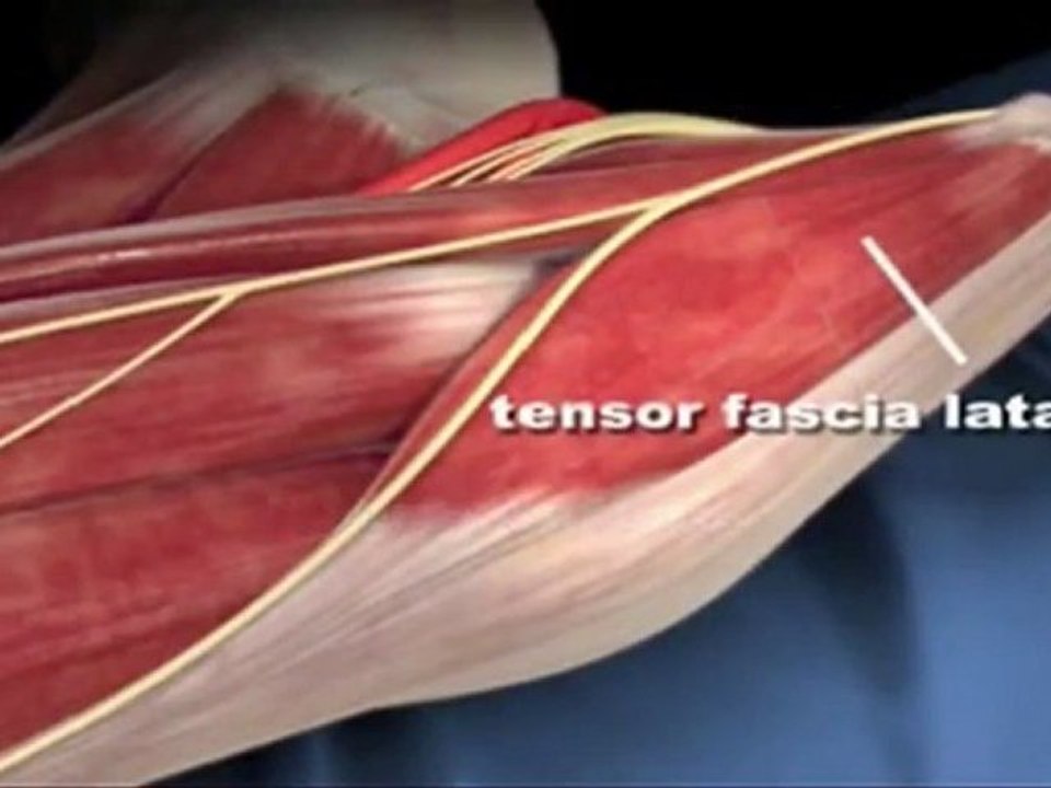 Minimally Invasive Total Hip Replacement